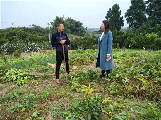 四川柑橘種植產(chǎn)區(qū)在哪里呀_四川四月份有橘子采摘嗎