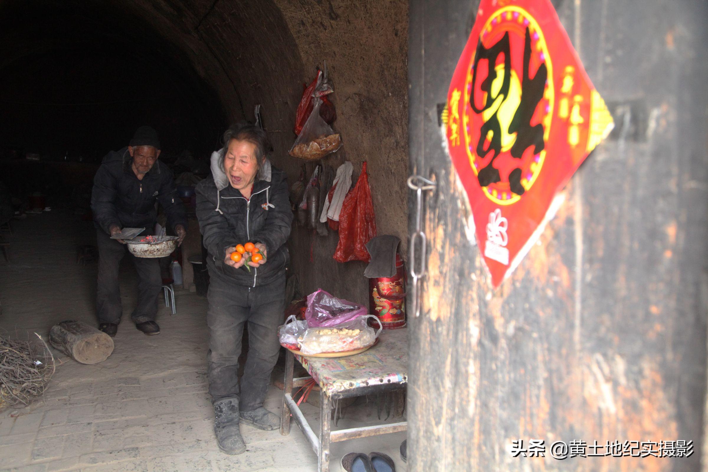 山西新品種柑橘樹苗幾錢_農(nóng)村正在悄悄鼓起的火爆生意有哪些