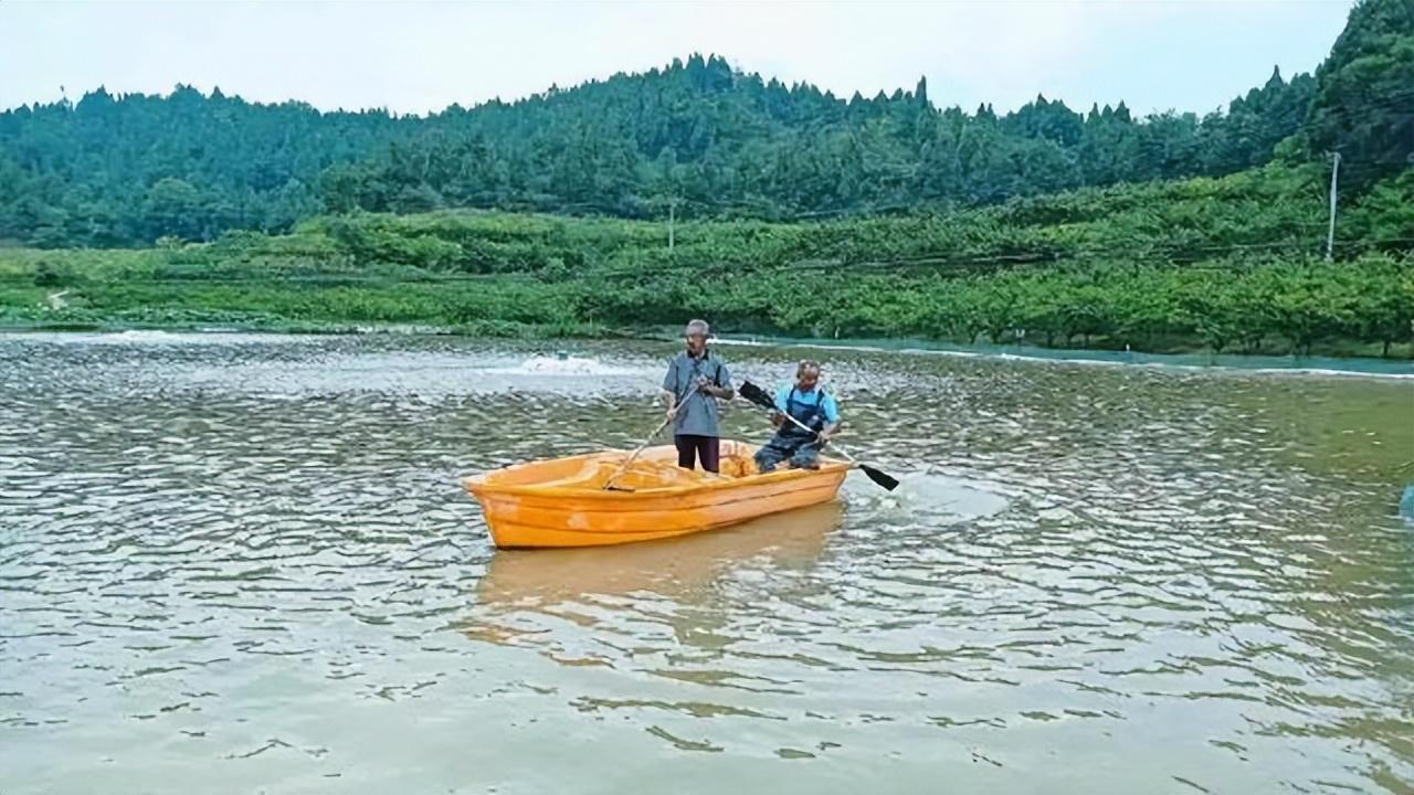 柑橘的新品種明日明月劍_有什么都雅的軍婚小說